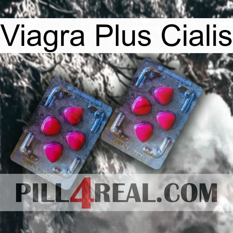 Viagra Plus Cialis 14